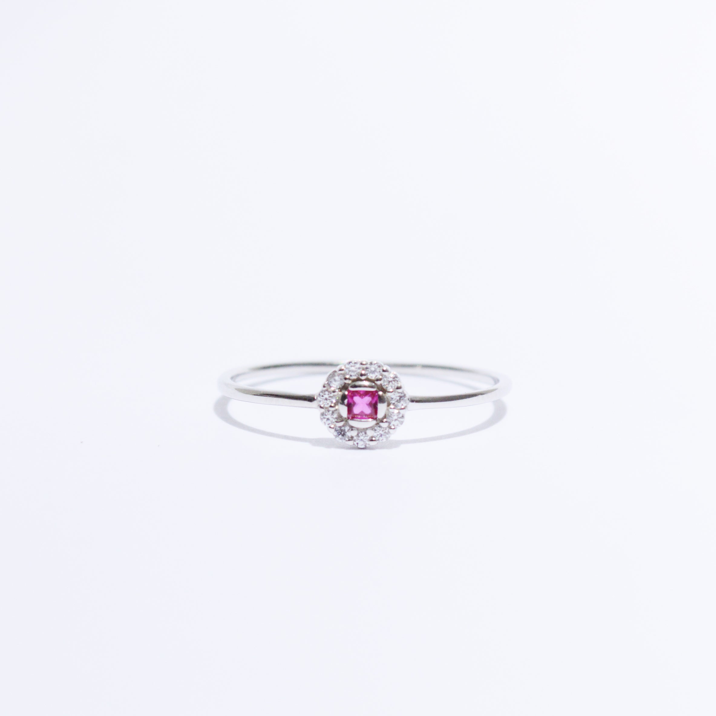 CAMELIA